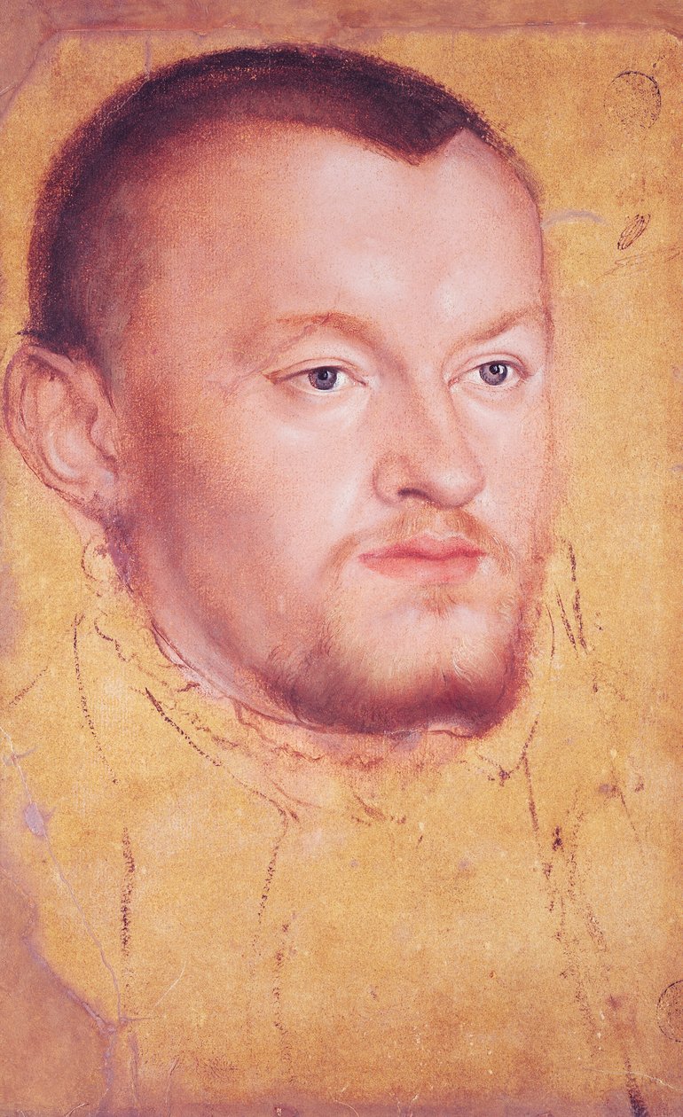 Portrett av Augustus I (1526-86) kurfyrst av Sachsen (olje, gouache og wc på papir) av Lucas Cranach the Younger
