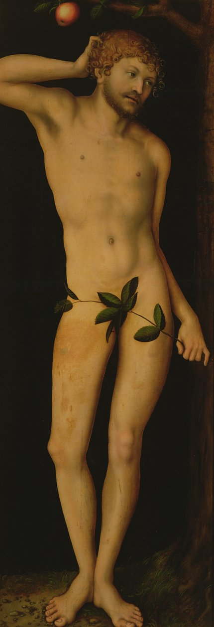 Adam, 1528 av Lucas Cranach the Elder