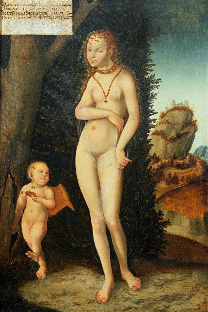 Ukjent bilde av Lucas Cranach
