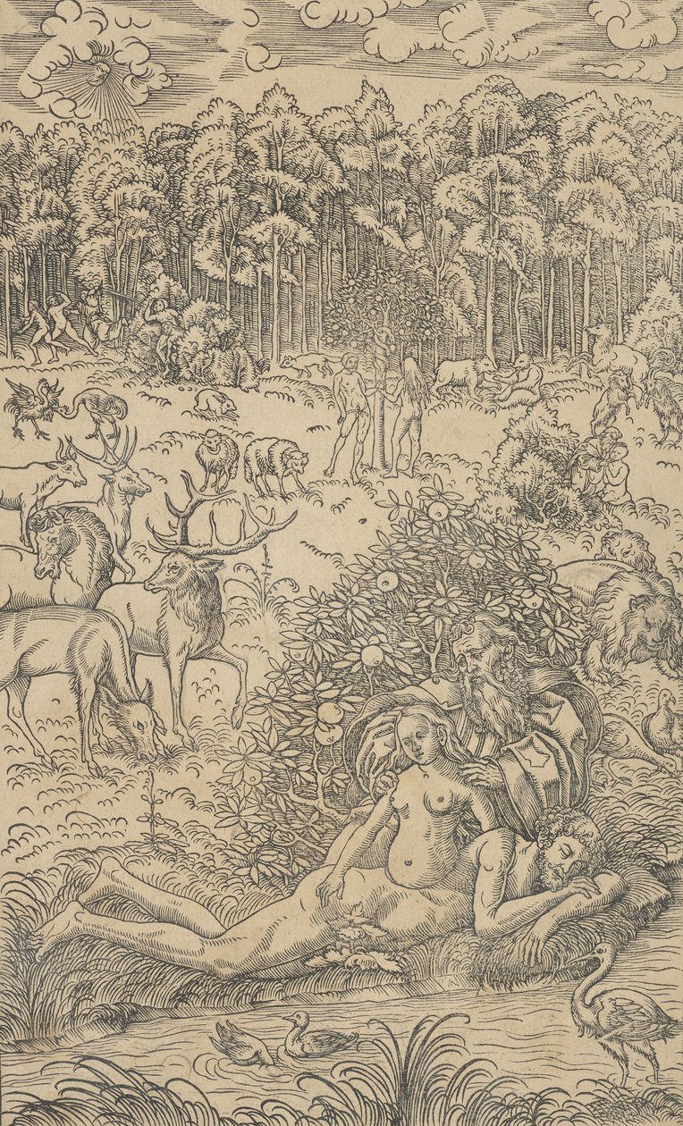 Skapelsen av Eva av Lucas Cranach the Younger  