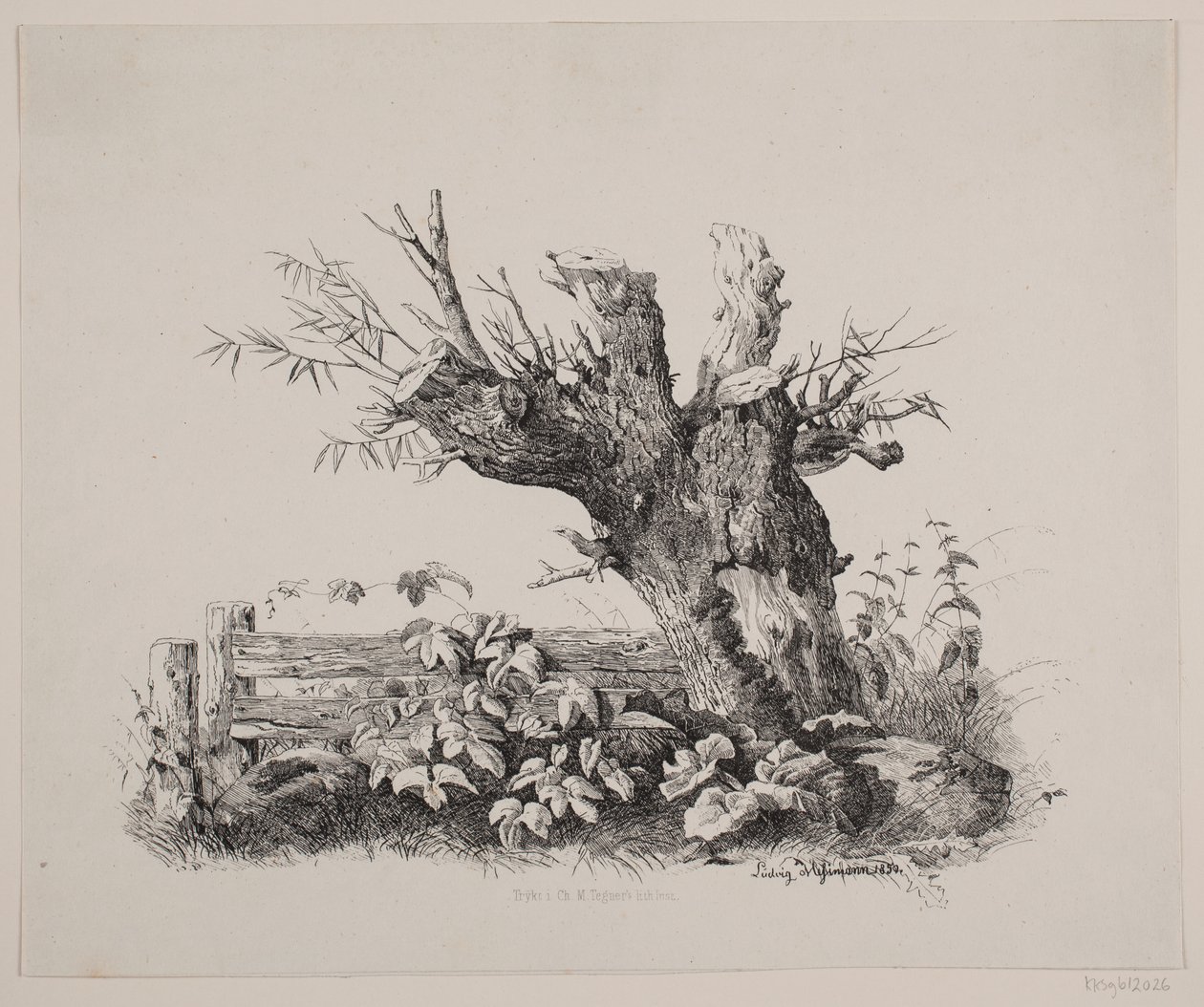 Ved et gjerde av Ludvig Messmann