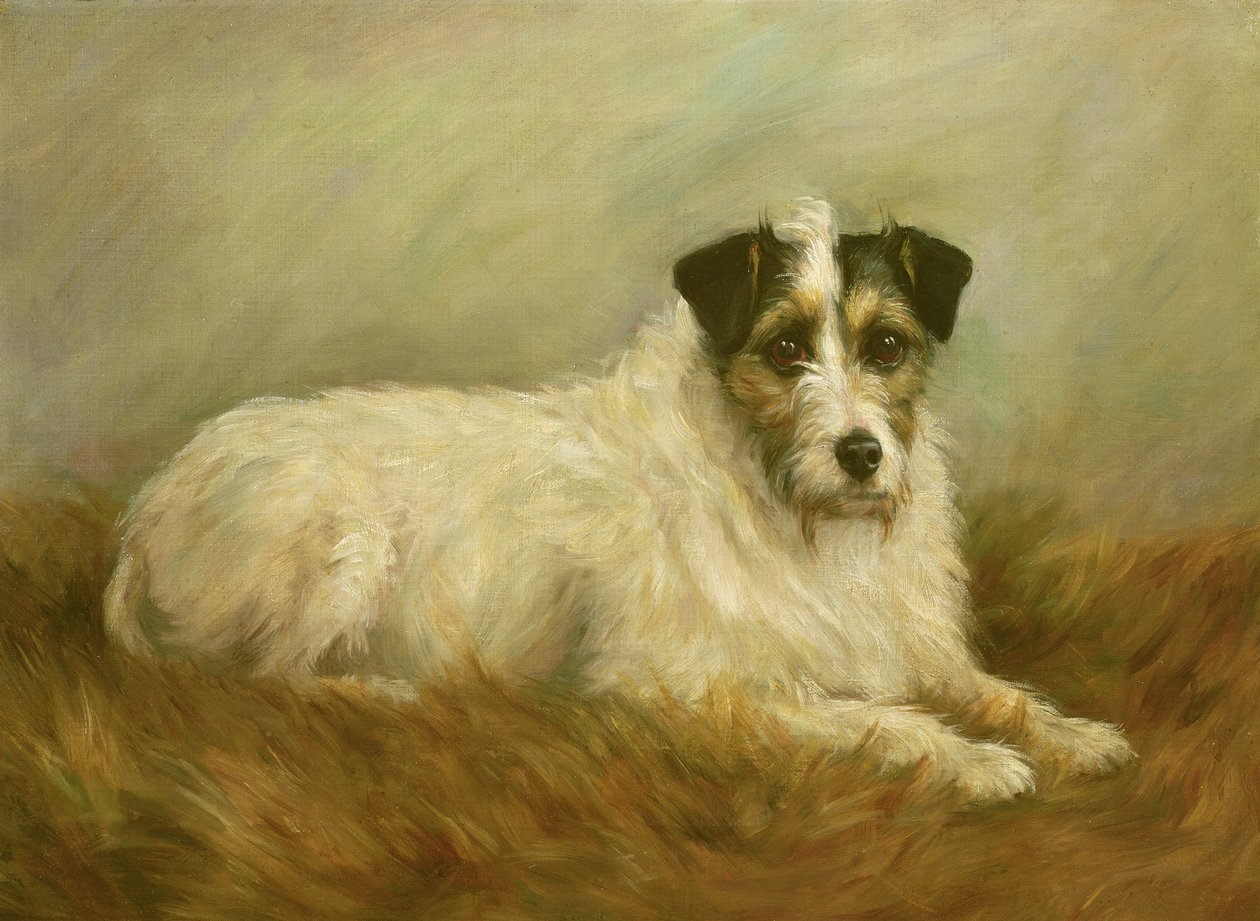 Terrier av Mabel Hastings