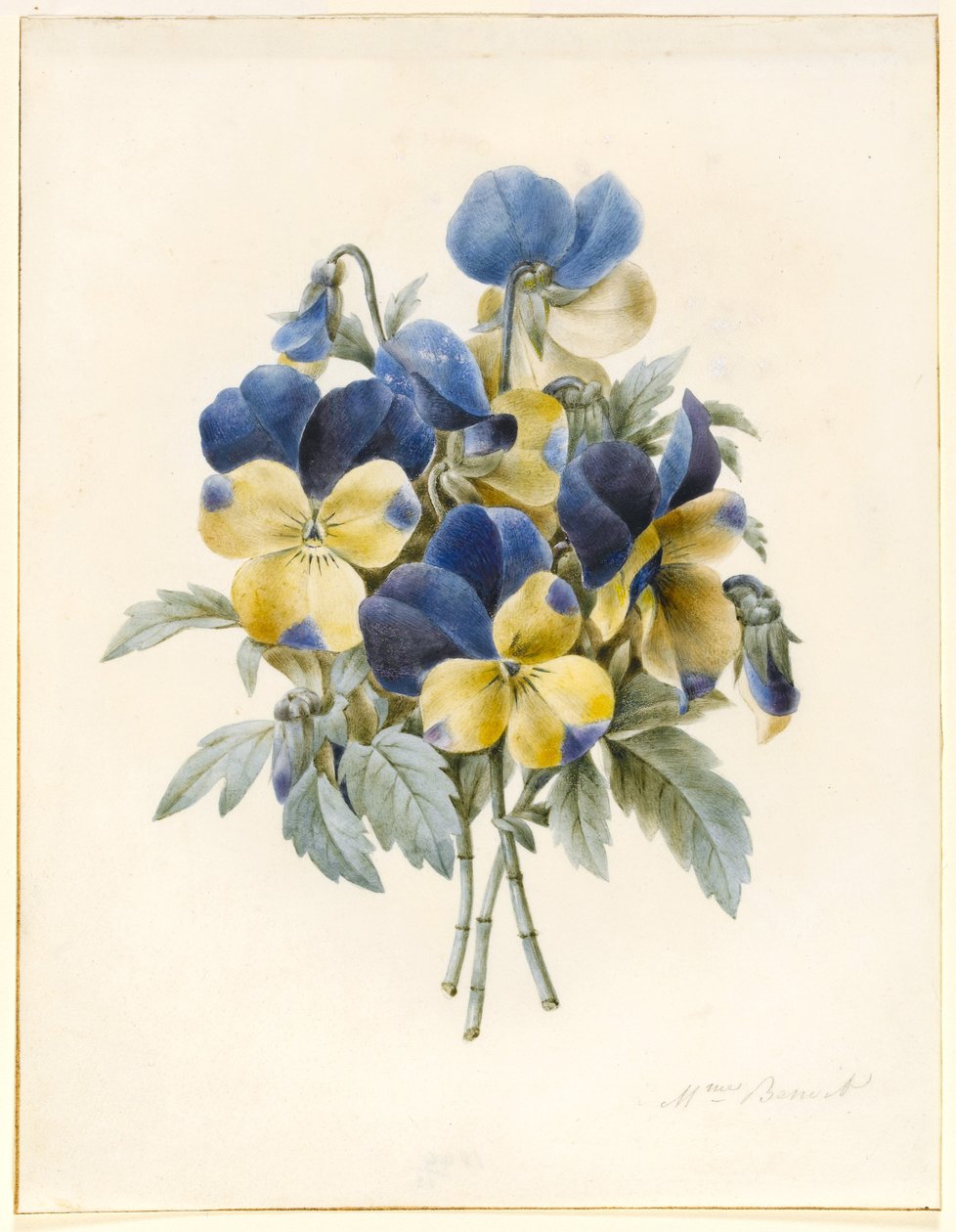 Kvist stemorsblomster (wc og litt kroppsfarge på papir) av Madame Benoit