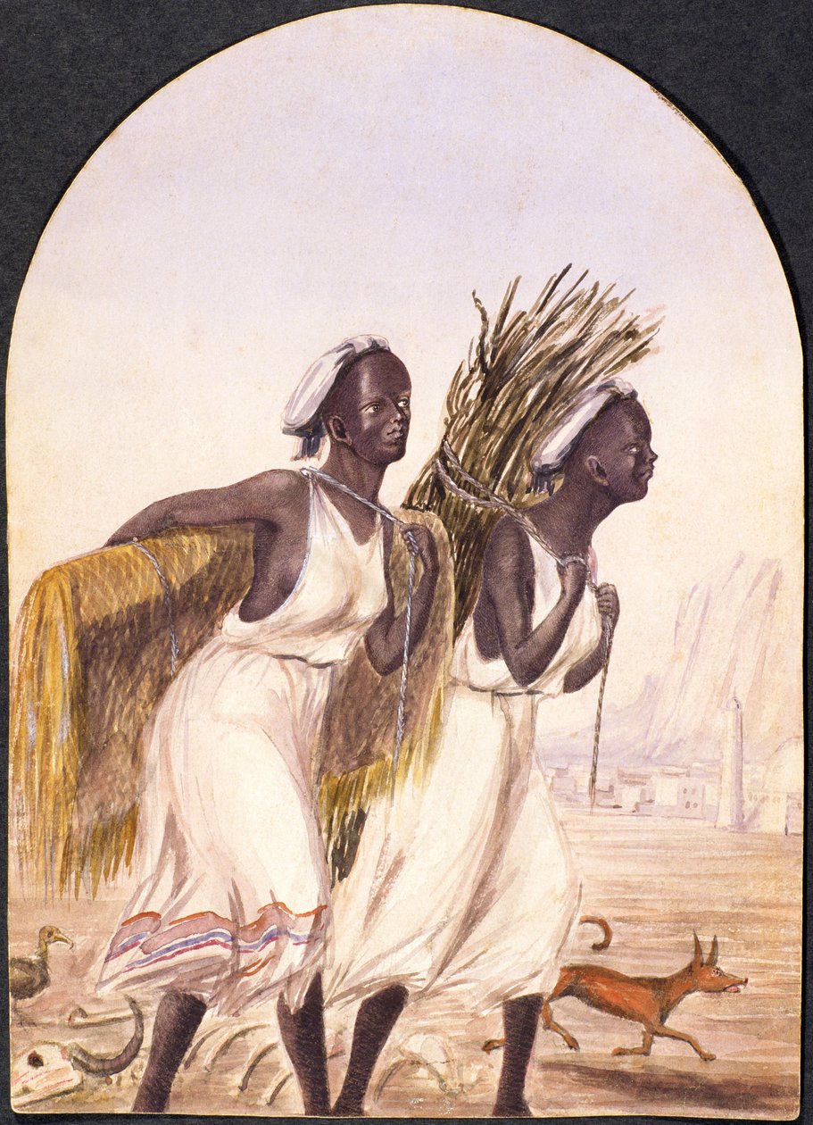 Somaliske kvinner i Aden, 1858 (wc på papir) av Maitland Warren Bouverie Pasley