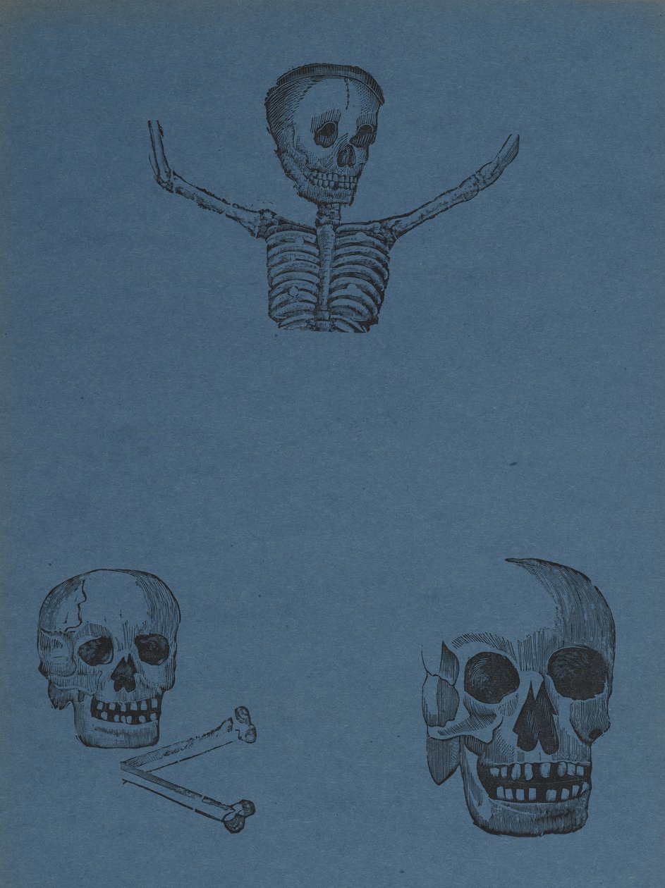 Studier av hodeskaller og skjeletter, fra 330 Grabados Originales, trykt av Antonio Vanegas Arroyo (1850-1917), Mexico by, Mexico (relieffgravering) av Manuel Manilla