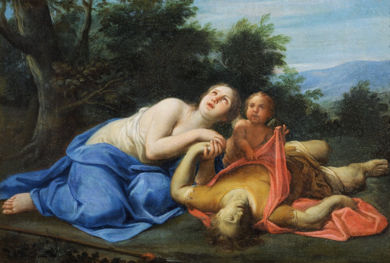 Ukjent bilde av Marcantonio Franceschini
