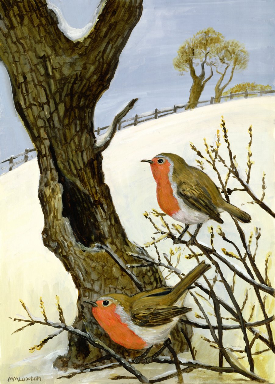 Et par robiner av Margaret Loxton