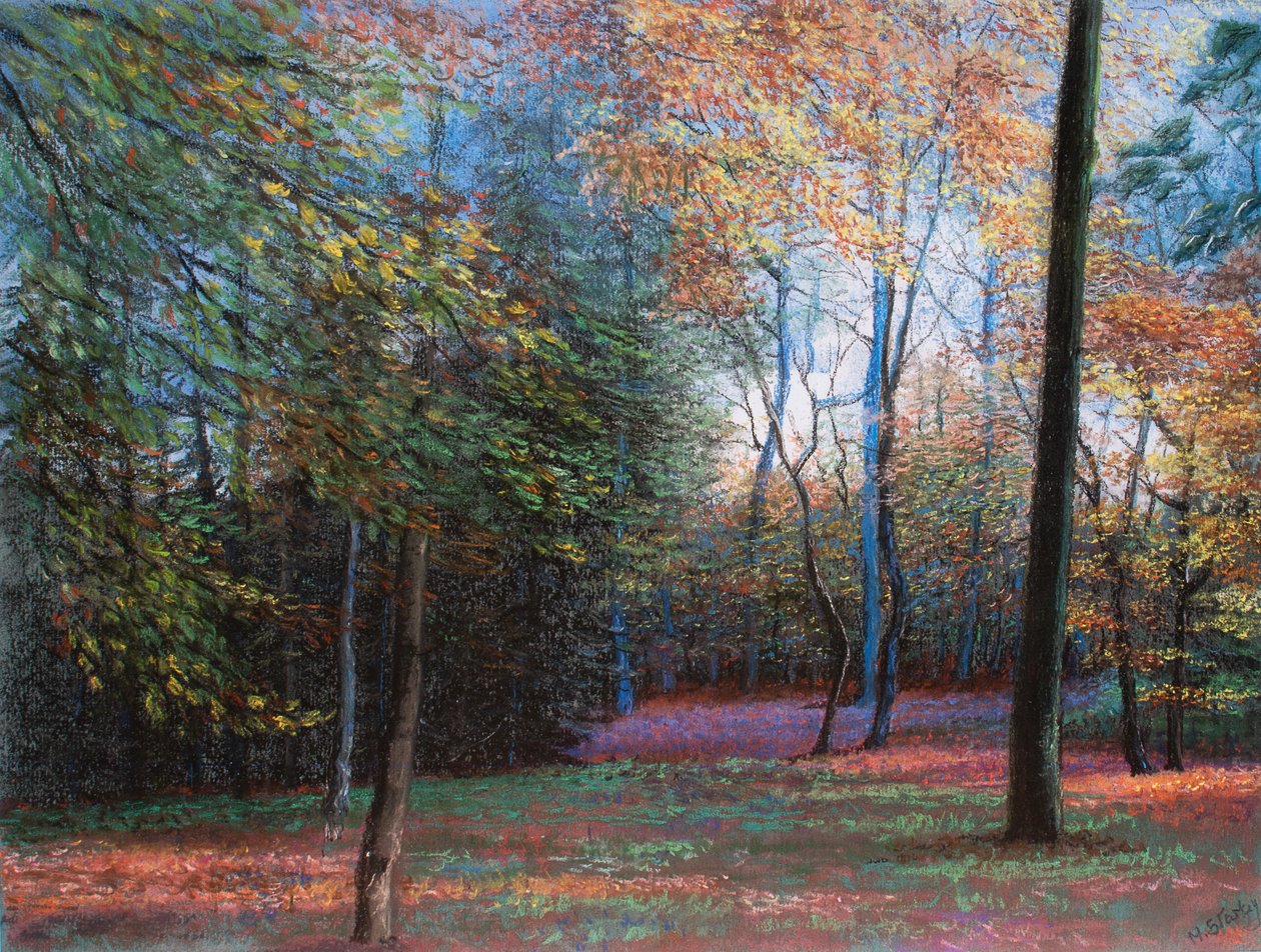 Autumn in the Woods, 1999 (pastell) av Margo Starkey