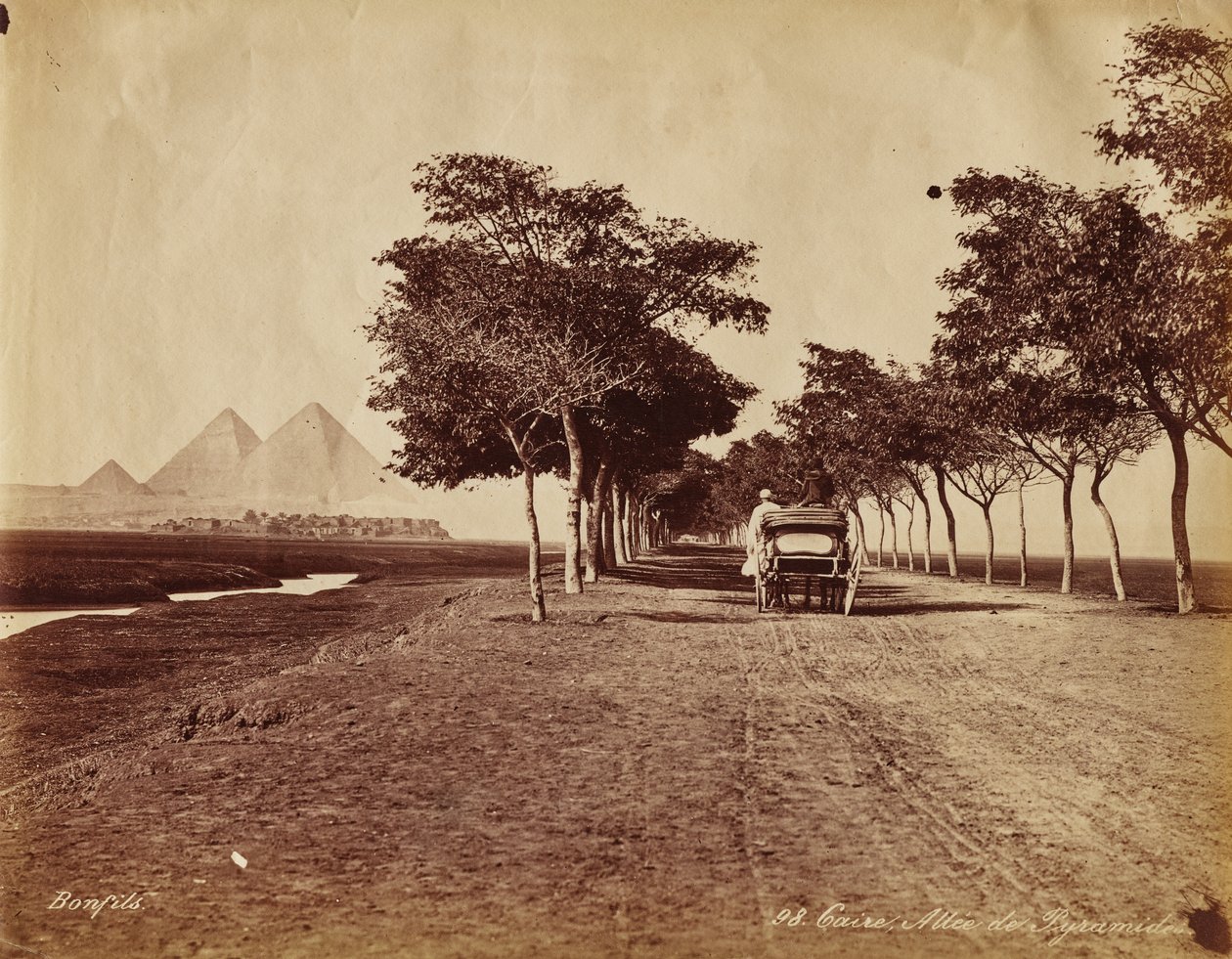 Kairo. Alley of Pyramids av Maria Sibylla Merian