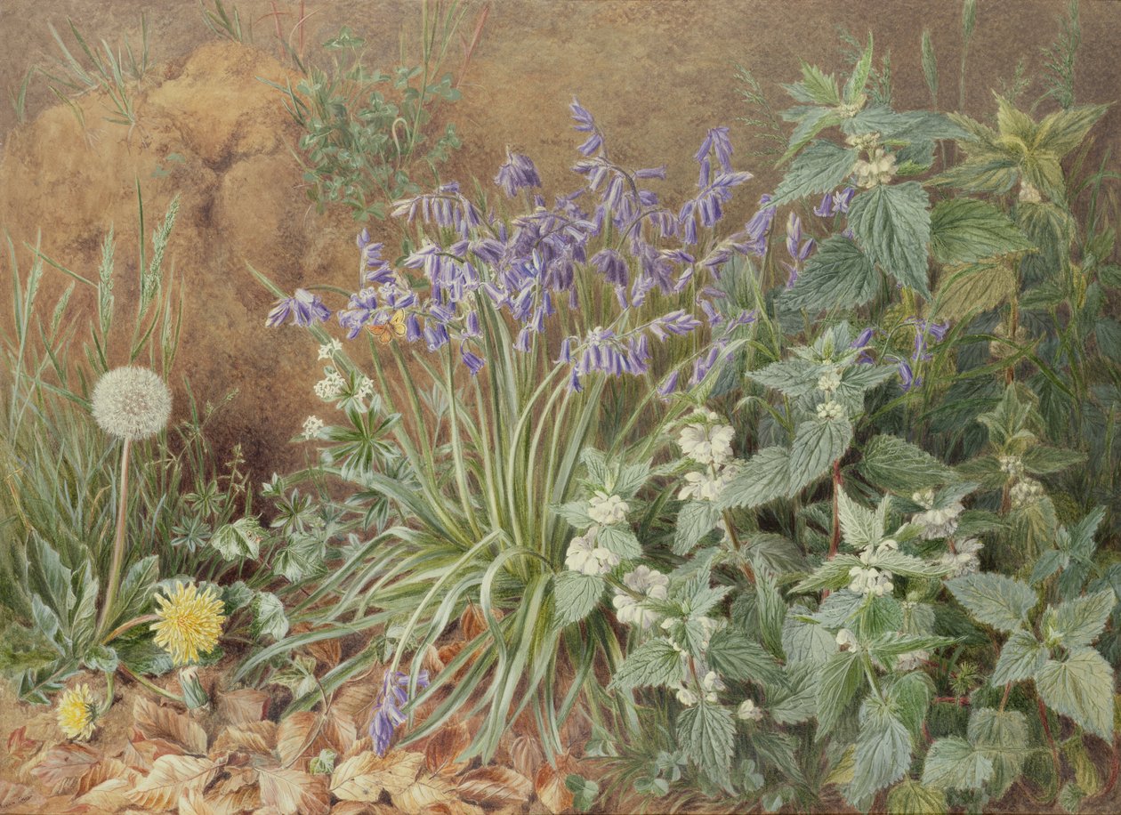Ville blomster av Marian Emma Chase