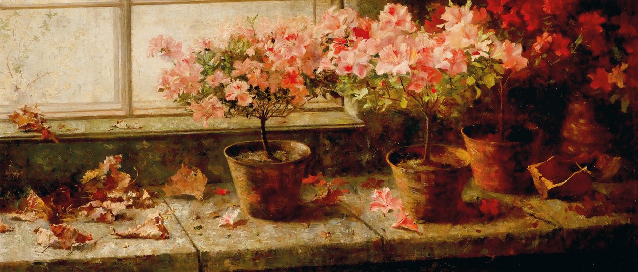 Azaleenstocke am Fenster English: Flowering Azaleas by the Window av Marie Egner
