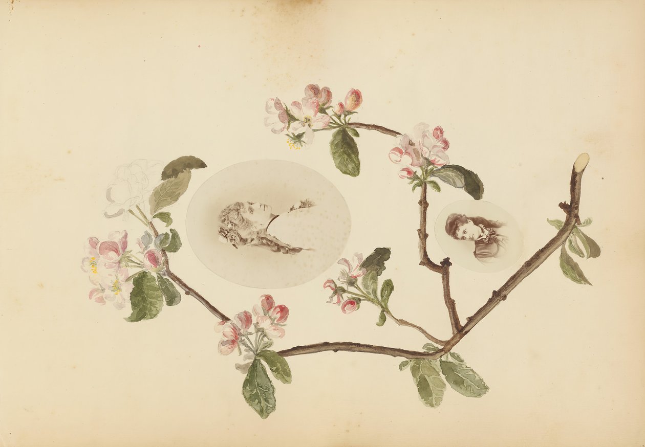 The Madame B Album, 1870-tallet. av Marie Blanche Hennelle Fournier