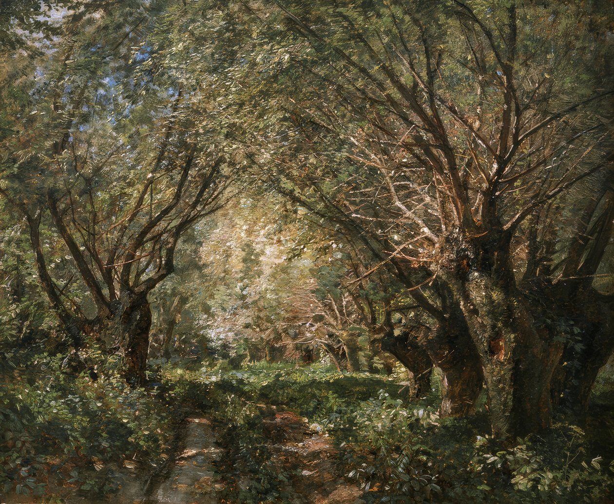 Weidenallee i Stillfried an der March av Marie Egner