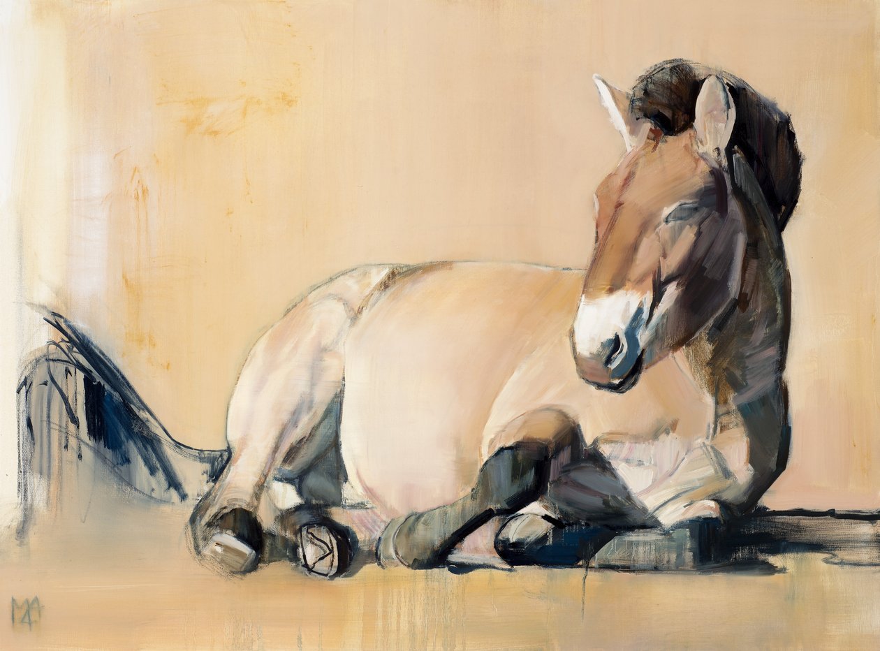 Plateau Sun (Przewalski), 2014, av Mark Adlington