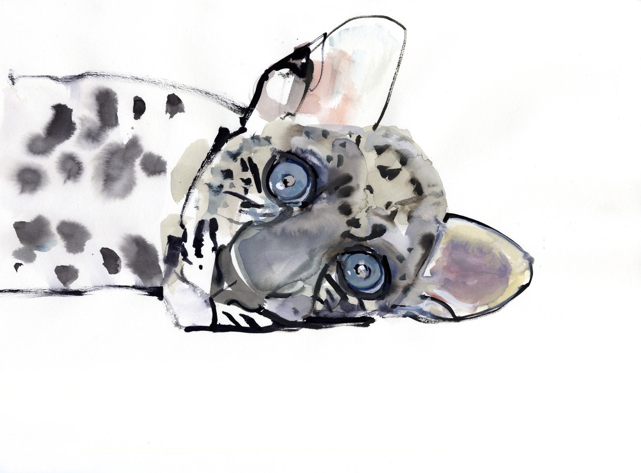 Arabisk leopard, 2008 av Mark Adlington