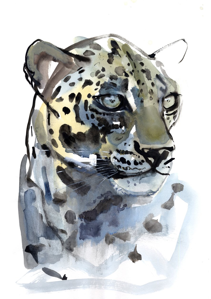 Arabisk leopard, 2008 av Mark Adlington