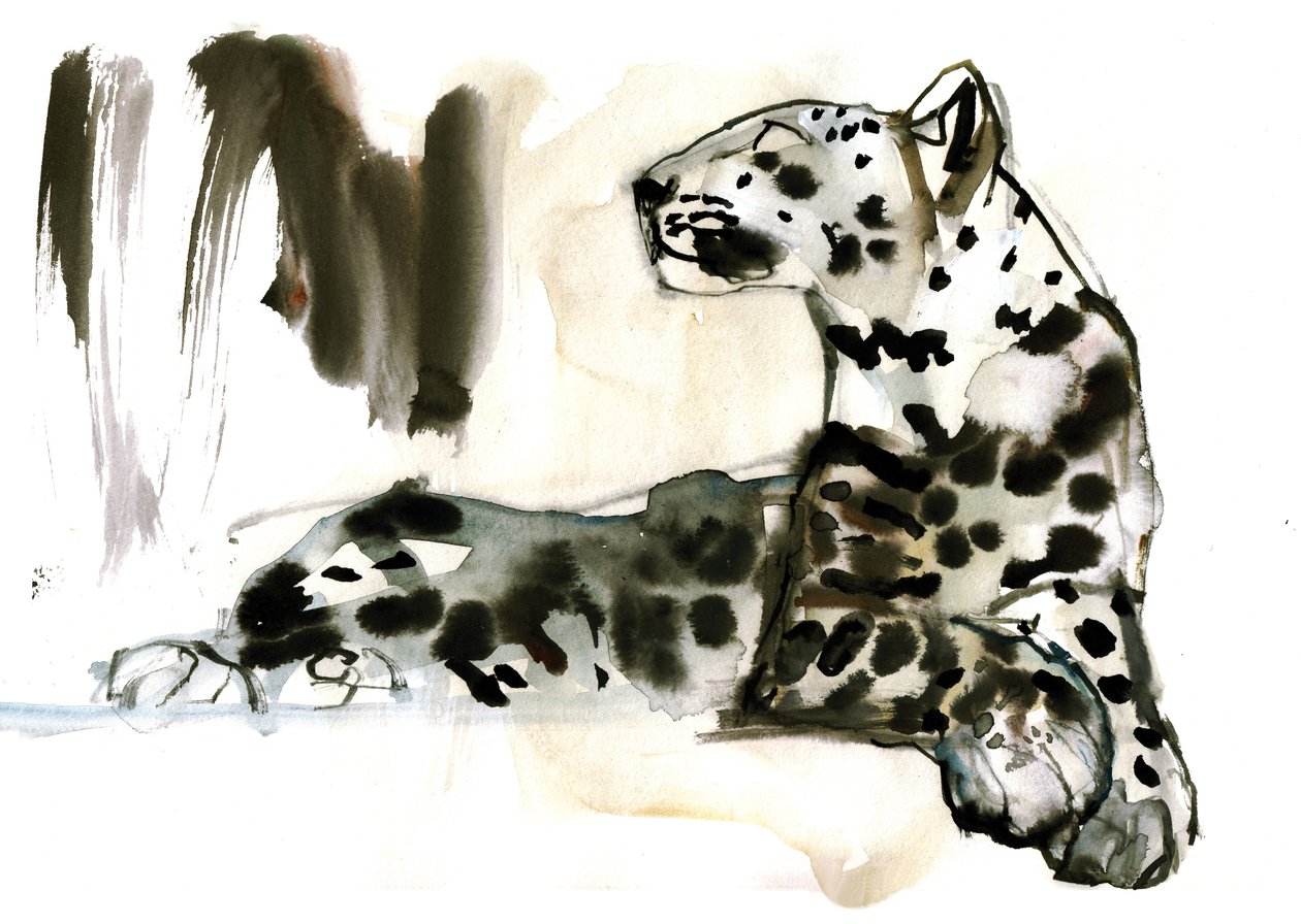 Arabisk leopard, 2008 av Mark Adlington