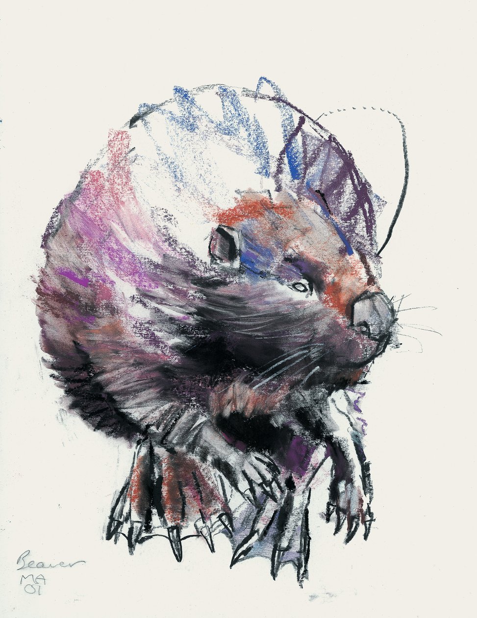 Beaver, 2001 (kull und conte på papir) av Mark Adlington