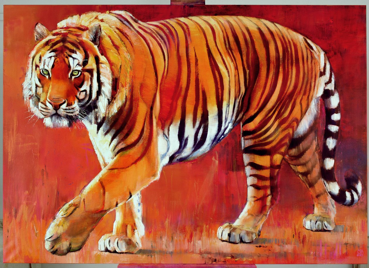 Bengal tiger av Mark Adlington