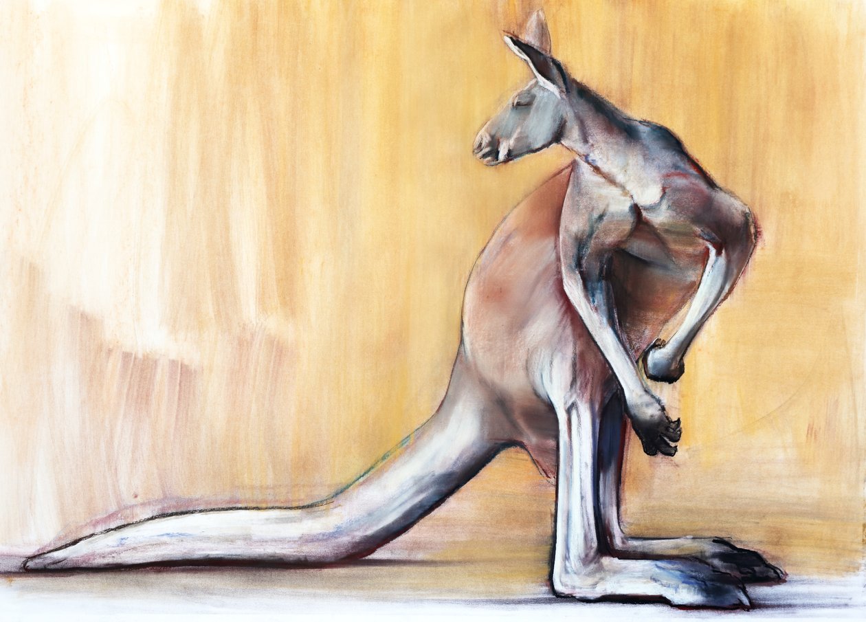 Big Red (kenguru), 2014 av Mark Adlington