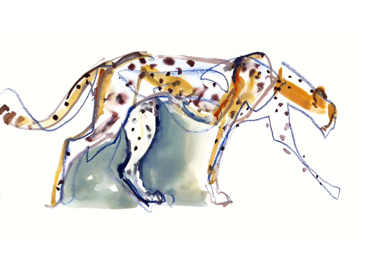 Cheetah, 2022 av Mark Adlington