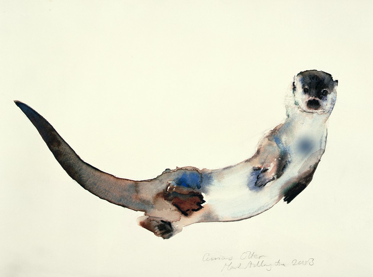 Curious Otter, 2003 av Mark Adlington