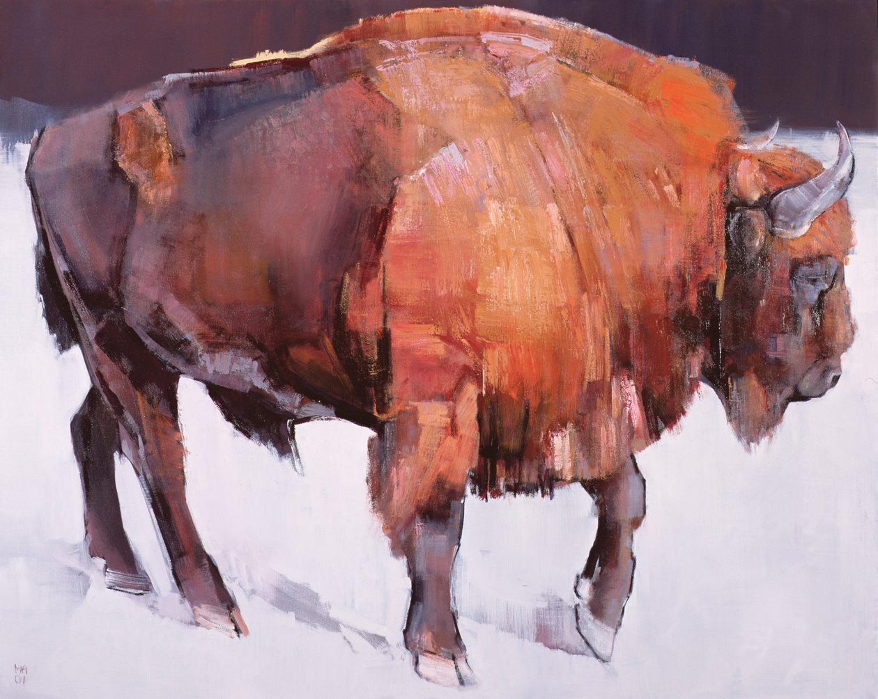 Europeisk bison av Mark Adlington