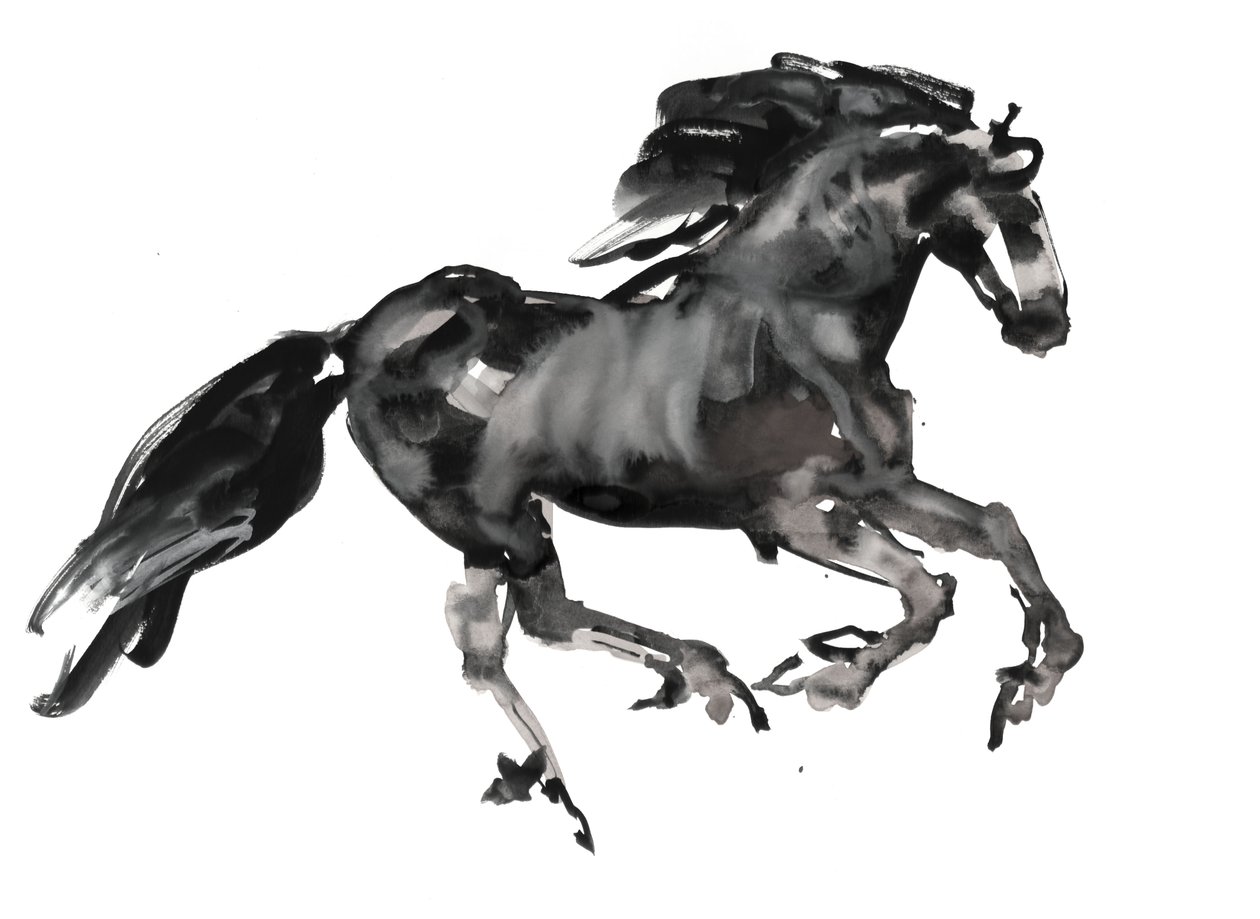Galopp, 2015, (blekk og akvarell på papir) av Mark Adlington