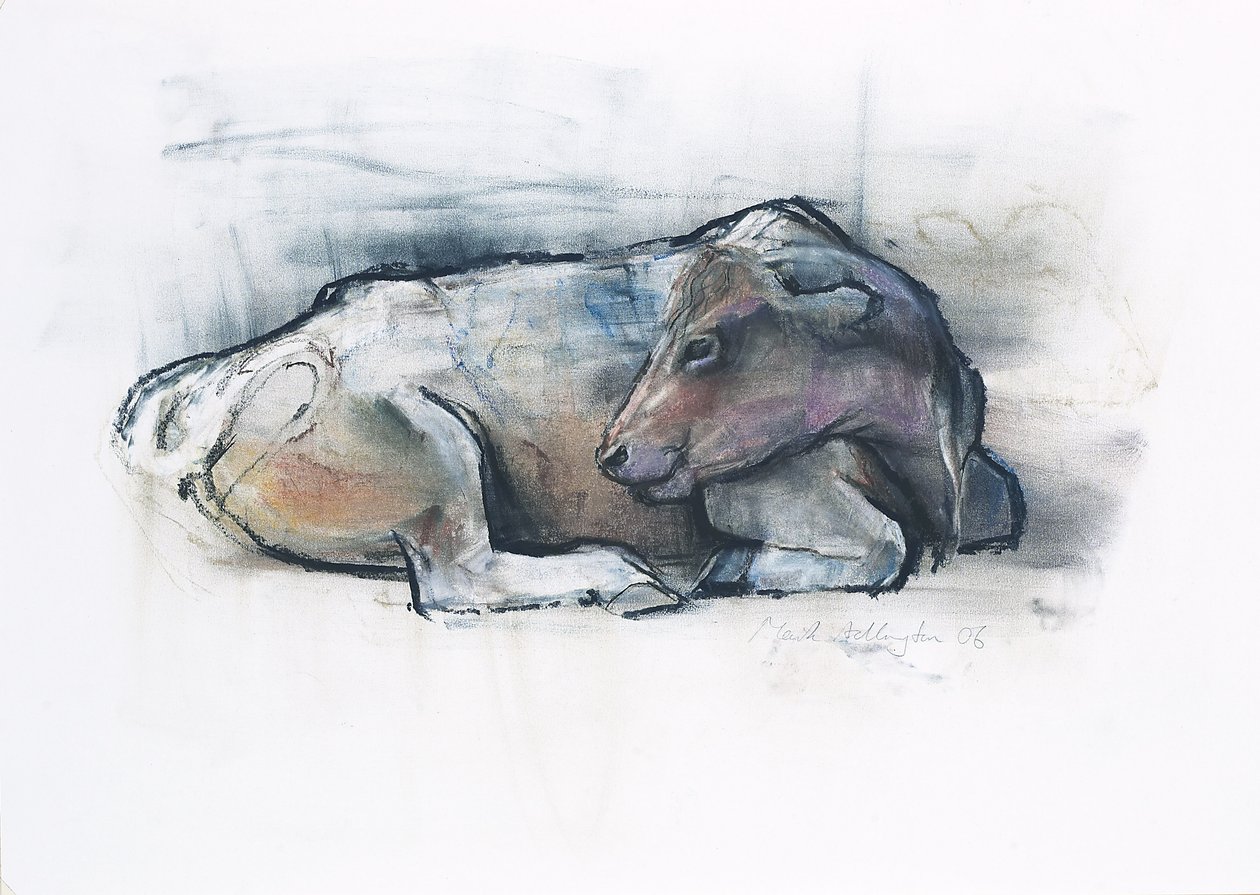 Galloway, 2006 (kull und conte på papir) av Mark Adlington