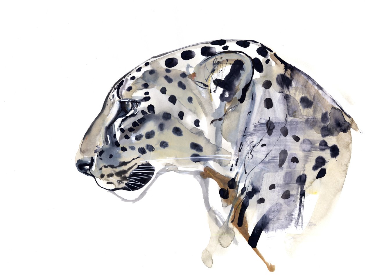 Profil (Arabian Leopard), 2008 av Mark Adlington