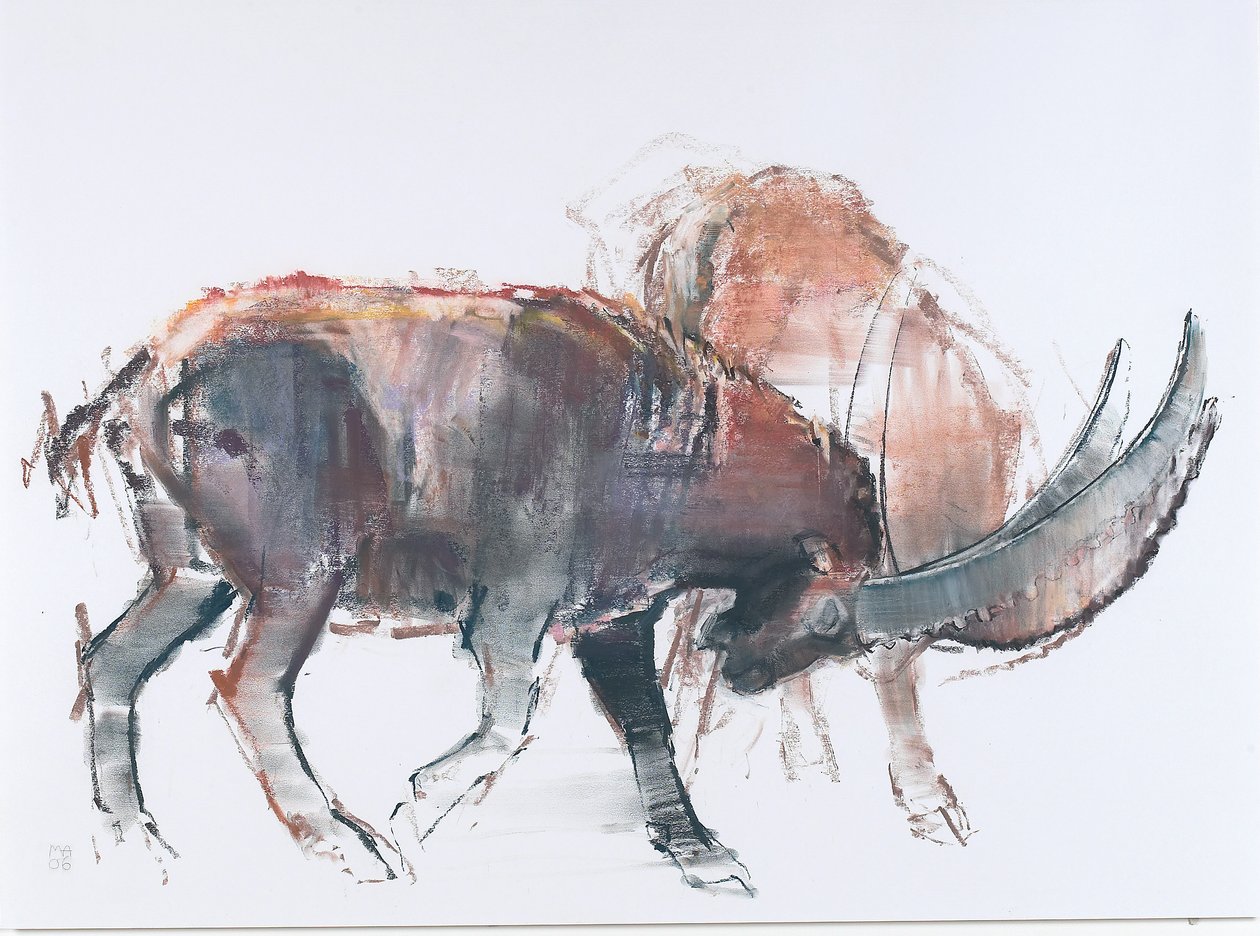 Scimitar, 2006 (kull und conte på papir) av Mark Adlington
