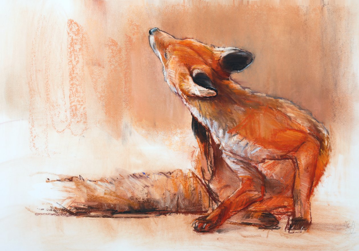 Spring Vixen, 2022 av Mark Adlington