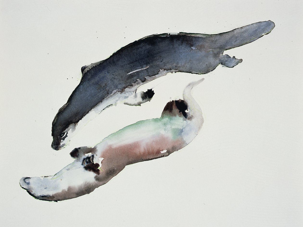 Yin Yang av Mark Adlington