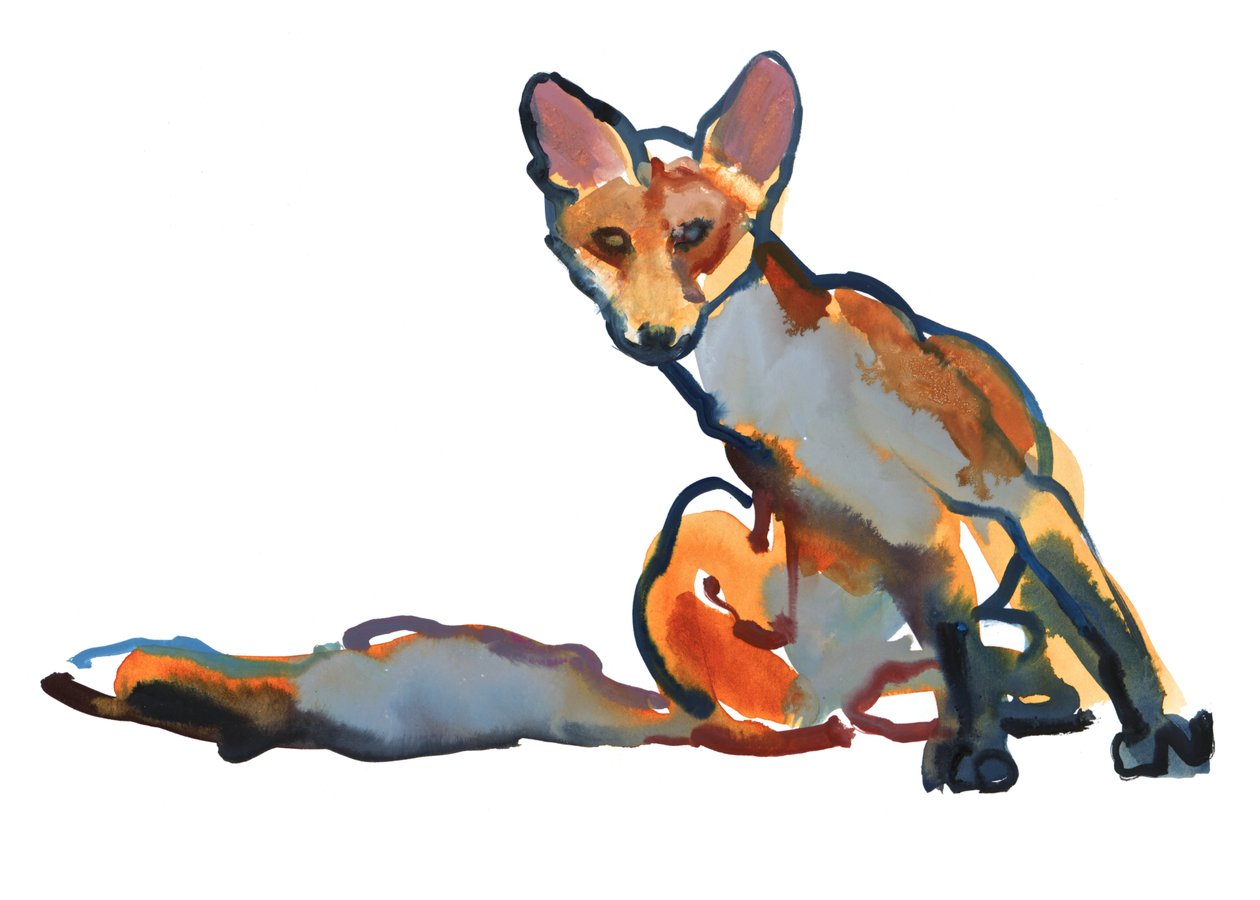 Young Vixen Grooming, 2021 av Mark Adlington