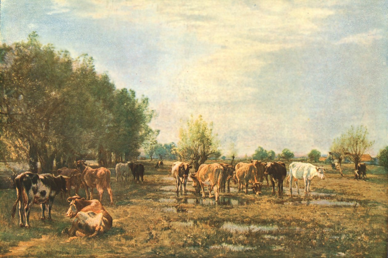 Fen Enger med storfe, 1877, c1930. av Mark Fisher