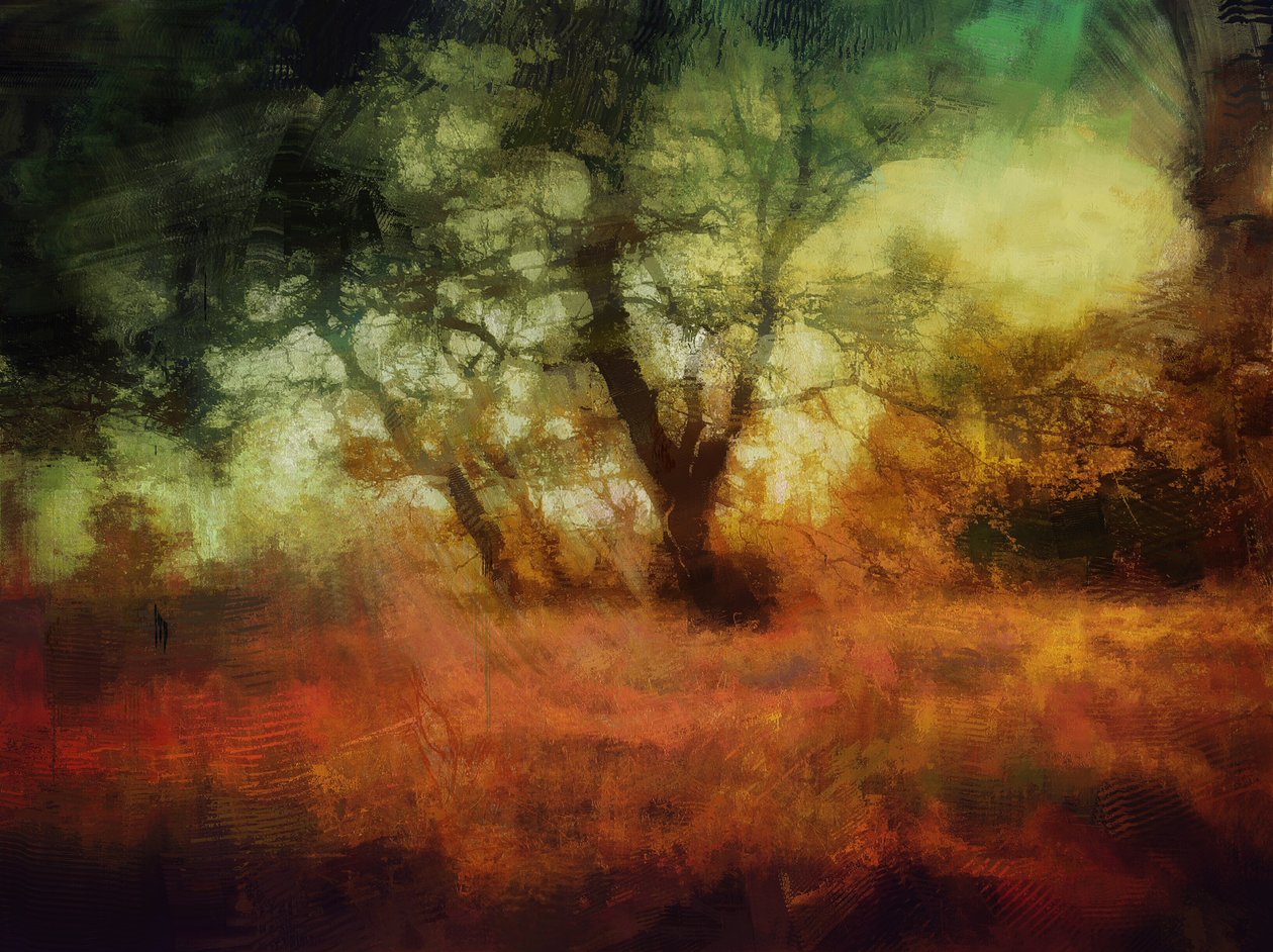  av Mark Gordon