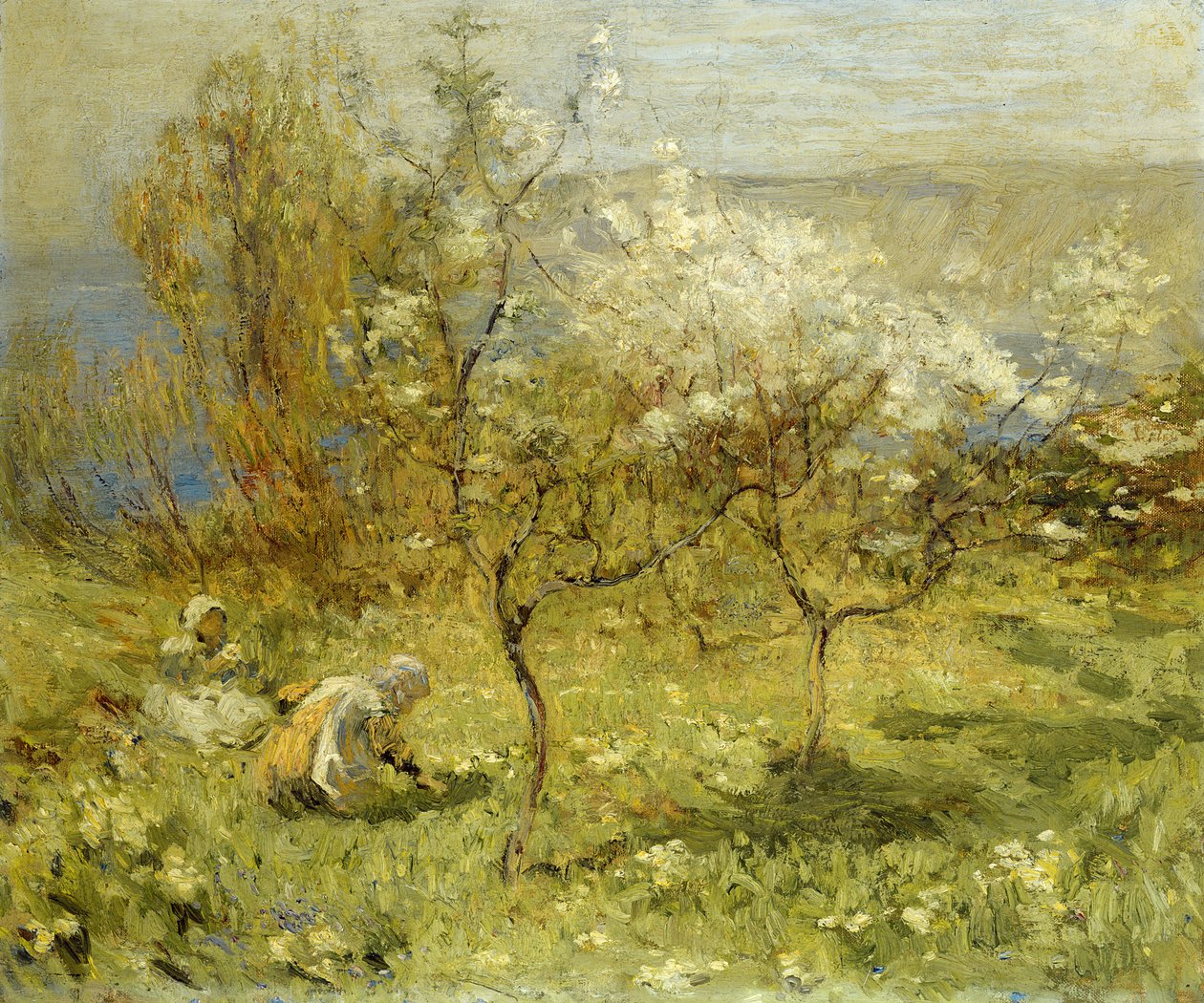 Epleblomster (olje på lerret) av Mark Senior
