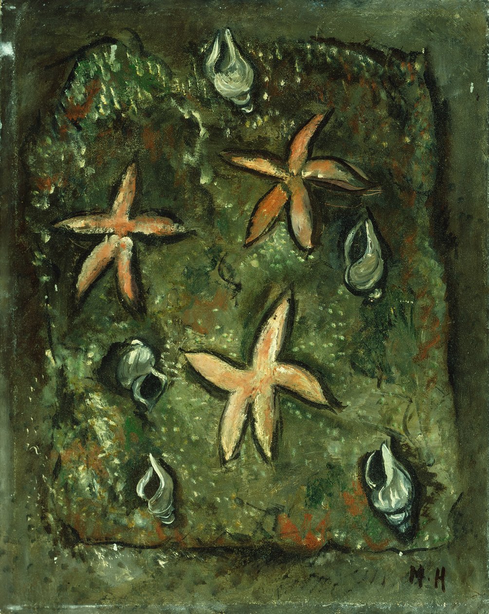 Stjernefisk og skjell av Marsden Hartley