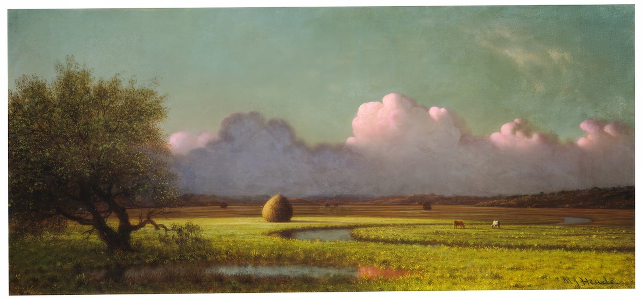 Sunlight and Shadow: The Newbury Marshes av Martin Johnson Heade