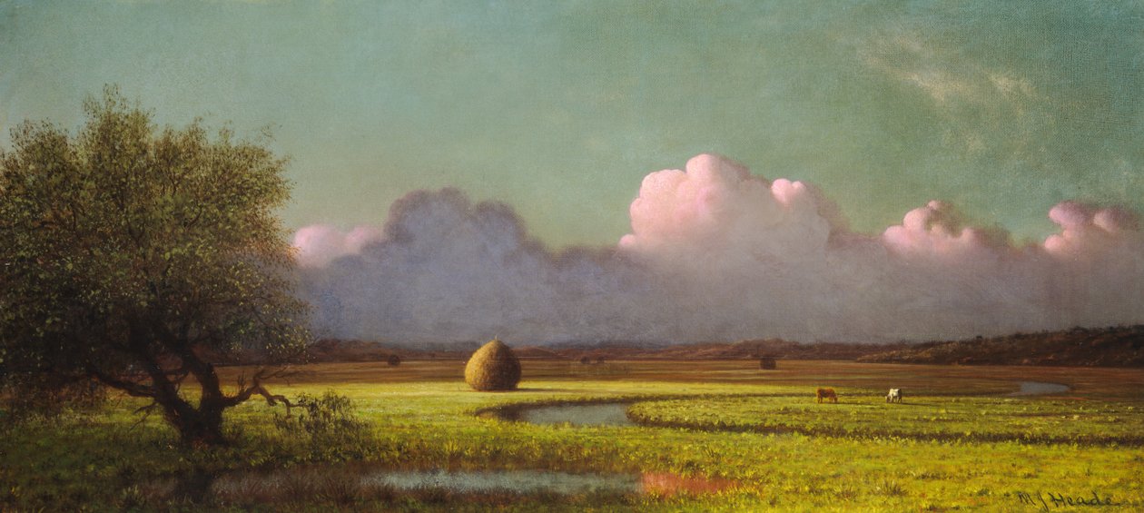 Sunlight and Shadow- The Newbury Marshes av Martin Johnson Heade