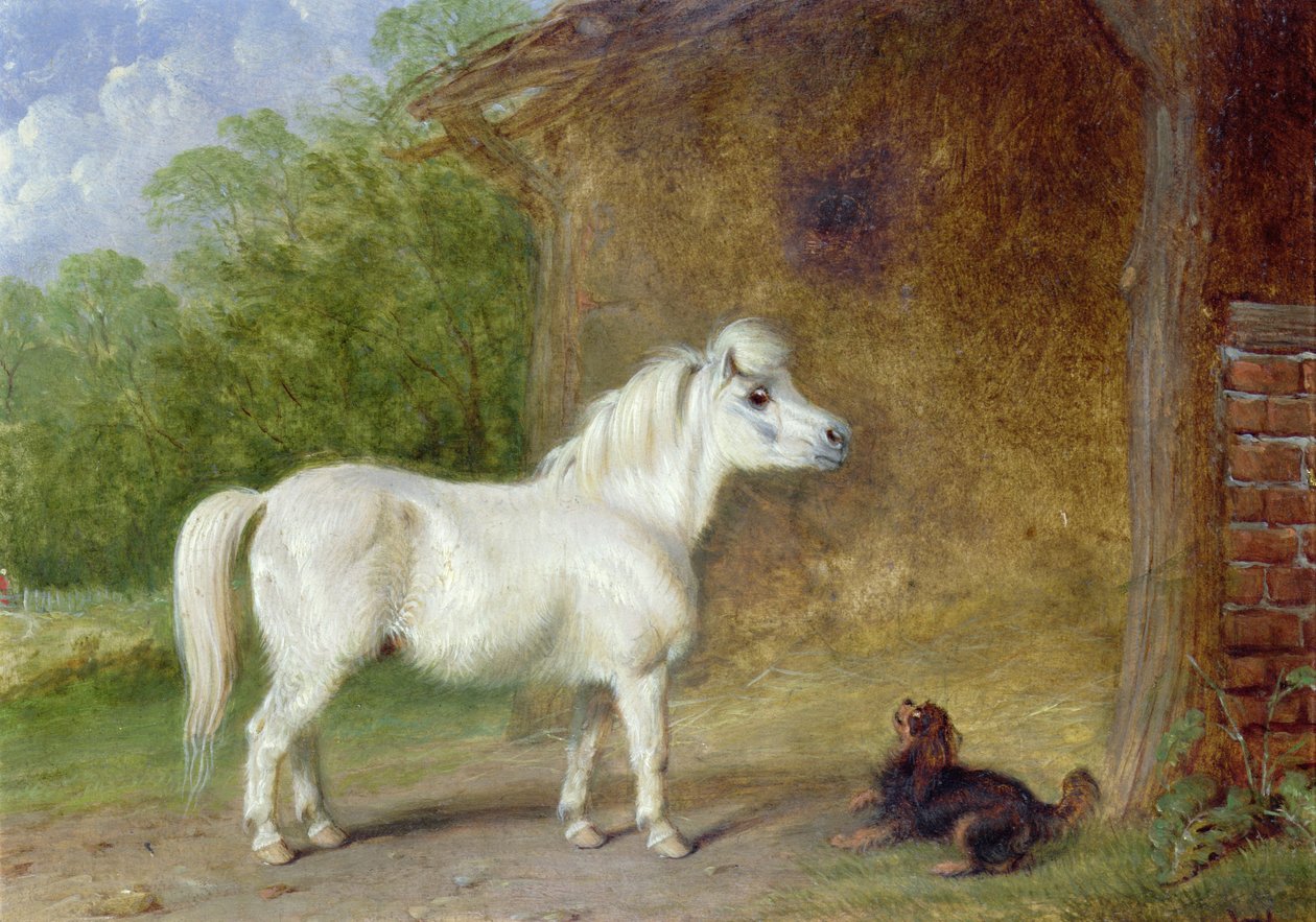 En shetlandsponni og en King Charles spaniel (brett) av Martin Theodore Ward