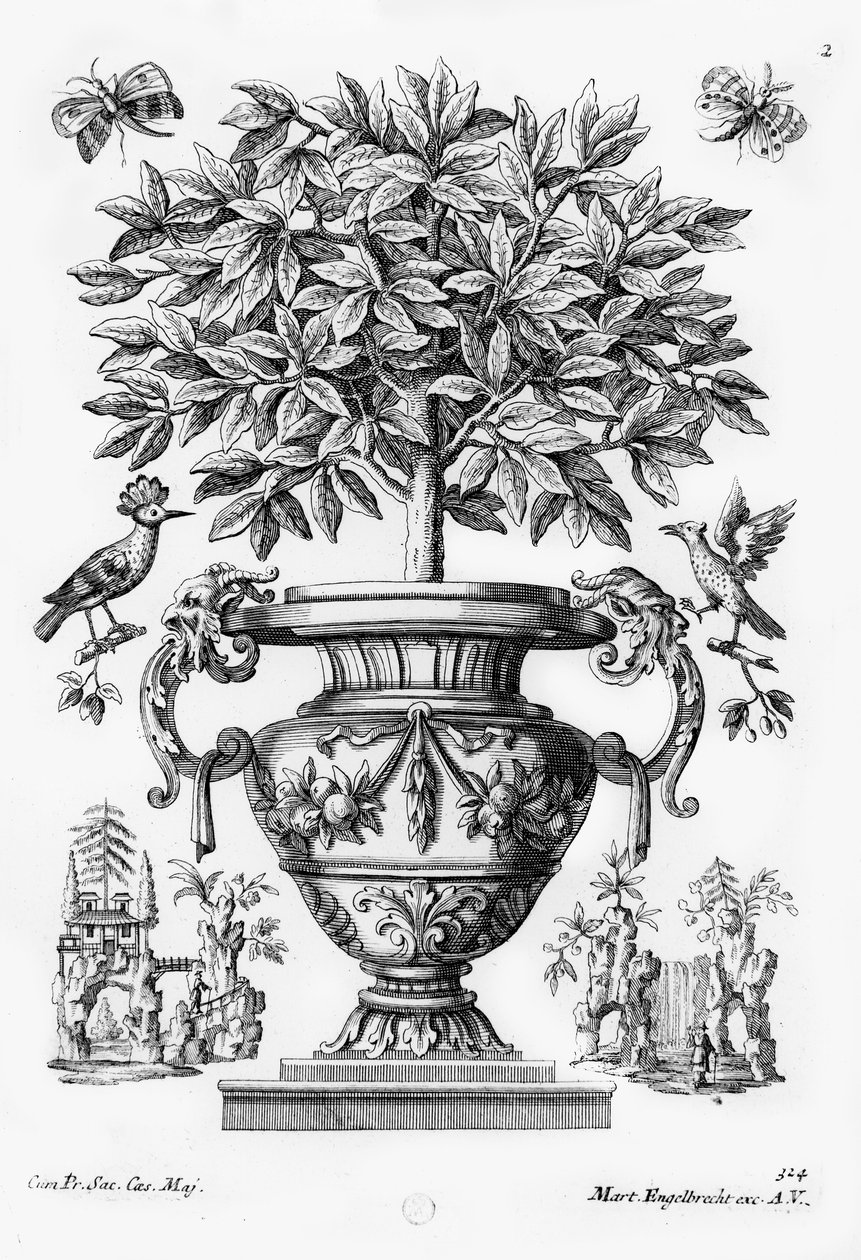 Sitrustrær, ca. 1735 av Martin Engelbrecht