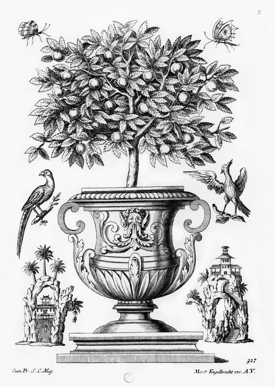 Sitrustrær, ca. 1735 av Martin Engelbrecht