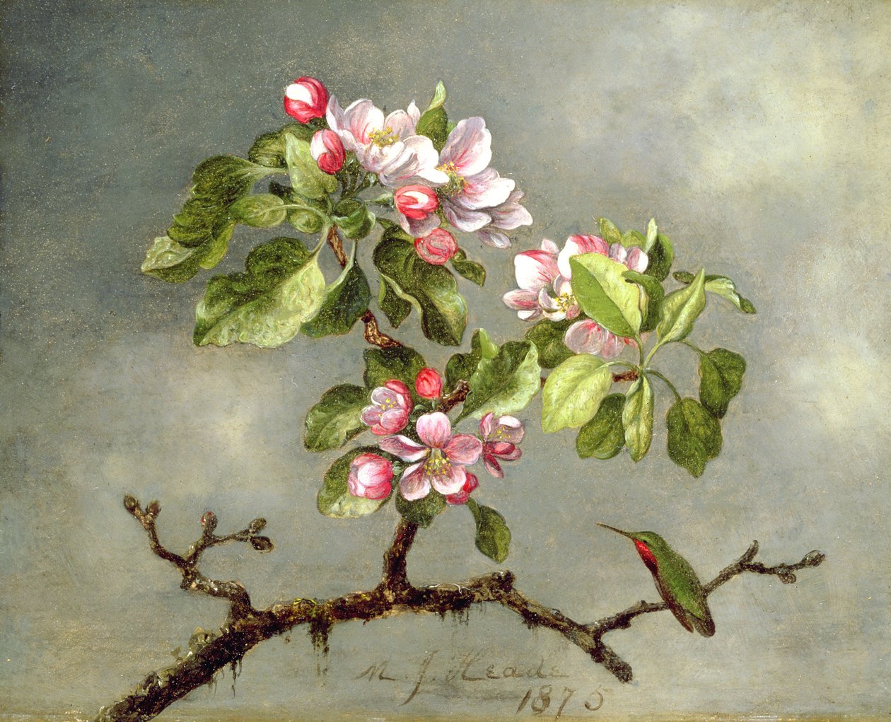 Epleblomster og en kolibri, 1875 av Martin Johnson Heade