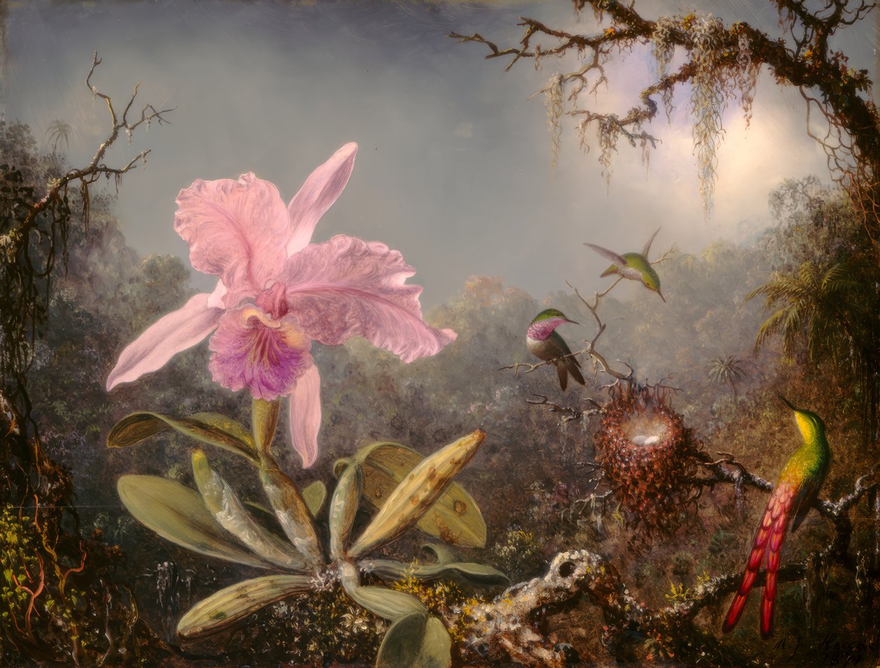 Cattleya Orchid og Three Hummingbirds av Martin Johnson Heade