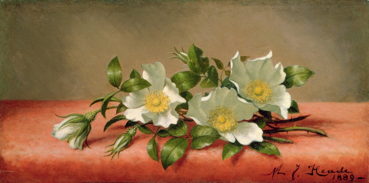 Cherokee Roses, 1889 av Martin Johnson Heade