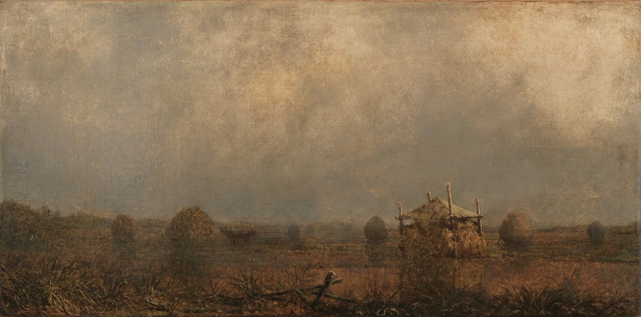 Høyvann på myrene av Martin Johnson Heade