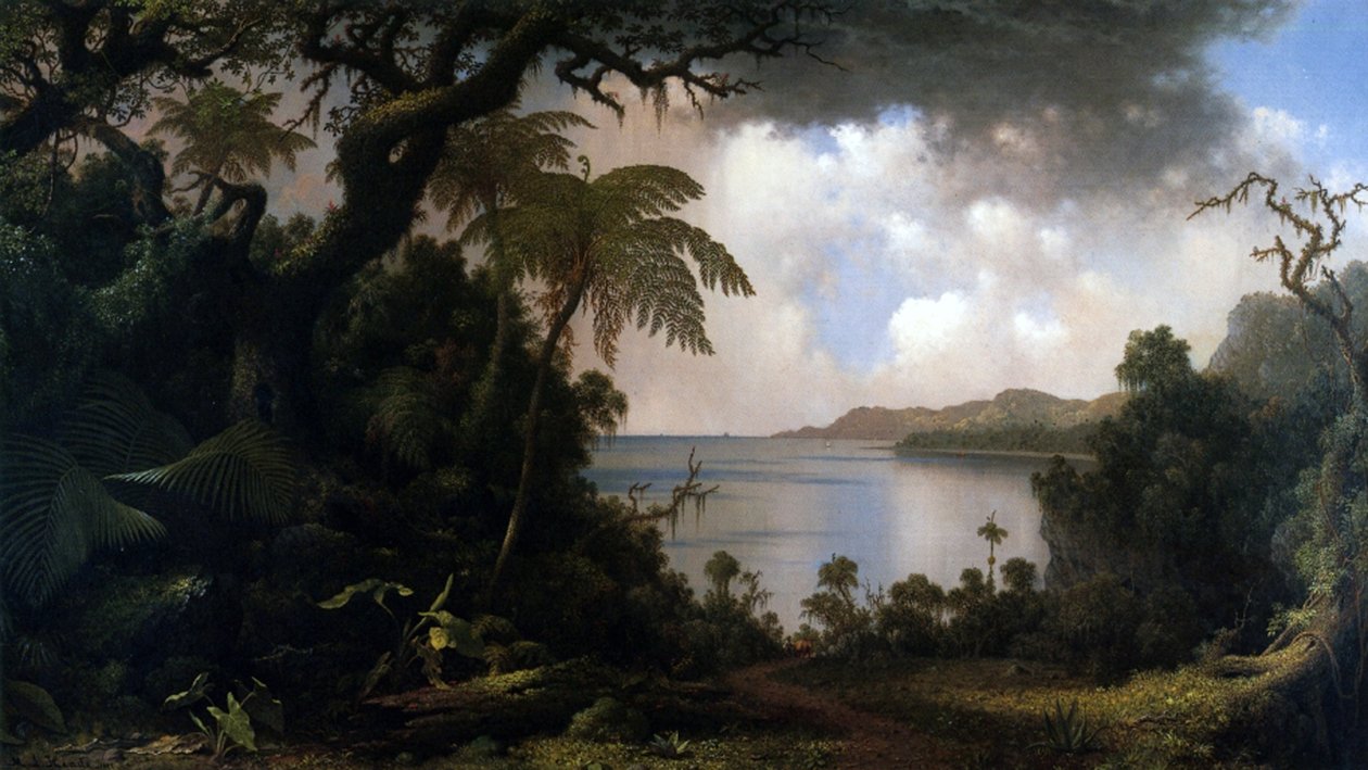 Jamaica, utsikt fra Fern-Tree Walk, 1887 av Martin Johnson Heade