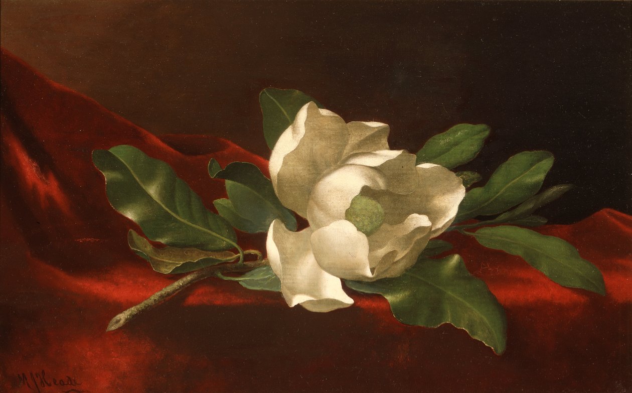  av Martin Johnson Heade