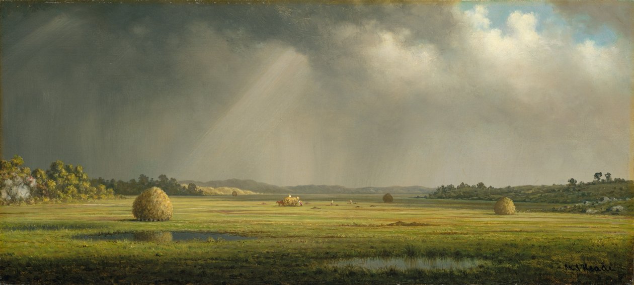  av Martin Johnson Heade